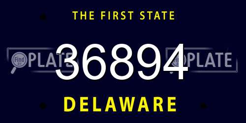 36894 Delaware License Plate