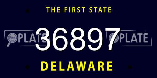 36897 Delaware License Plate