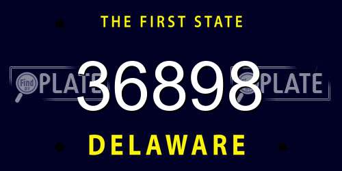 36898 Delaware License Plate