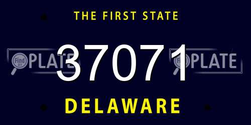 37071 Delaware License Plate