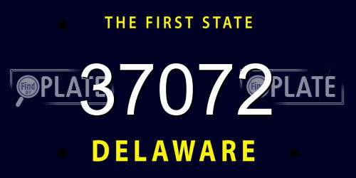 37072 Delaware License Plate