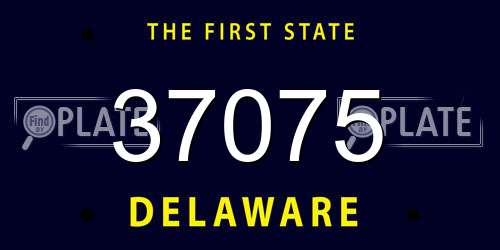 37075 Delaware License Plate