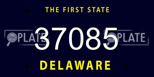 37085 Delaware License Plate