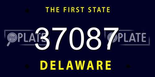 37087 Delaware License Plate