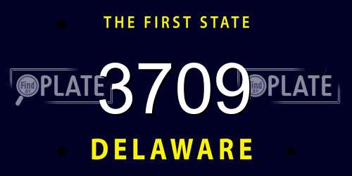 3709 Delaware License Plate