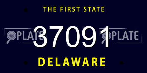 37091 Delaware License Plate