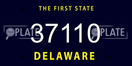 37110 Delaware License Plate