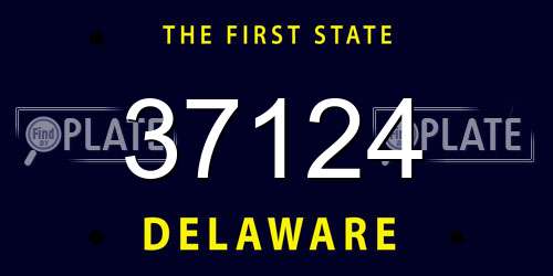 37124 Delaware License Plate