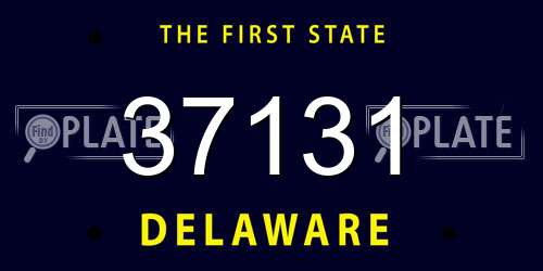 37131 Delaware License Plate