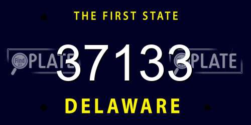 37133 Delaware License Plate
