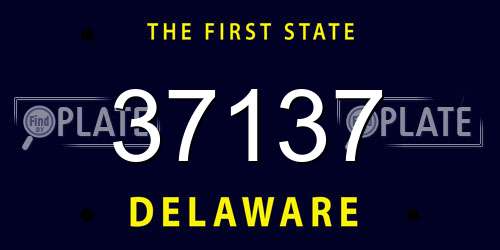 37137 Delaware License Plate