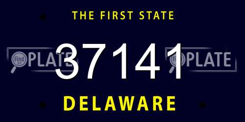 37141 Delaware License Plate
