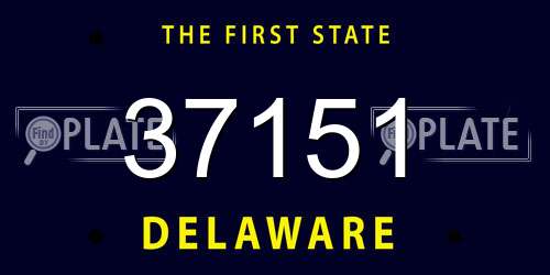 37151 Delaware License Plate