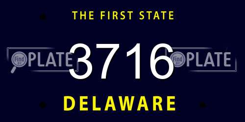 3716 Delaware License Plate