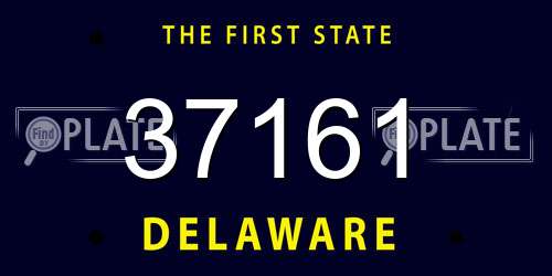 37161 Delaware License Plate