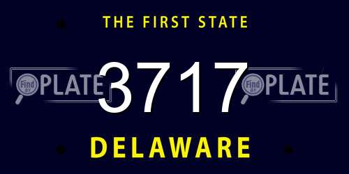 3717 Delaware License Plate