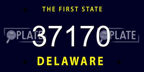 37170 Delaware License Plate
