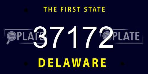 37172 Delaware License Plate