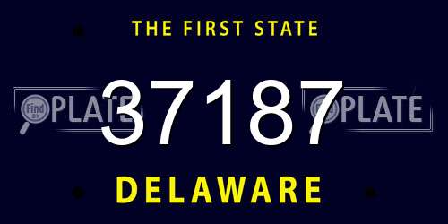 37187 Delaware License Plate