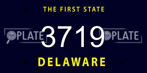 3719 Delaware License Plate