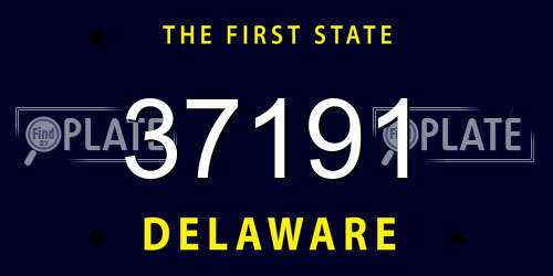 37191 Delaware License Plate