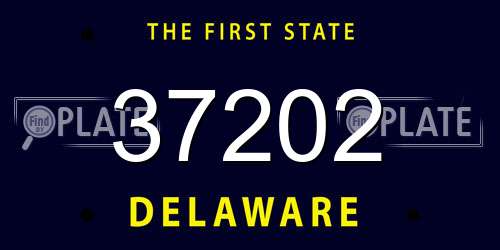 37202 Delaware License Plate