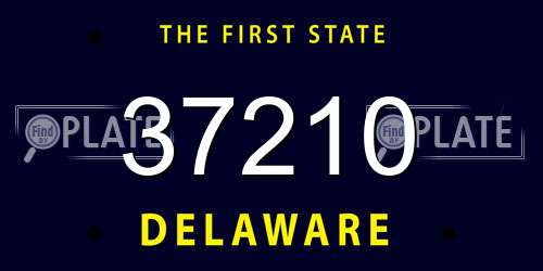 37210 Delaware License Plate