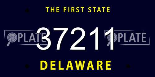 37211 Delaware License Plate