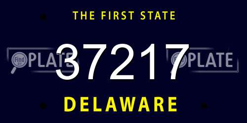 37217 Delaware License Plate