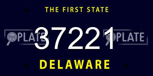 37221 Delaware License Plate