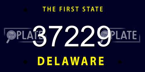 37229 Delaware License Plate