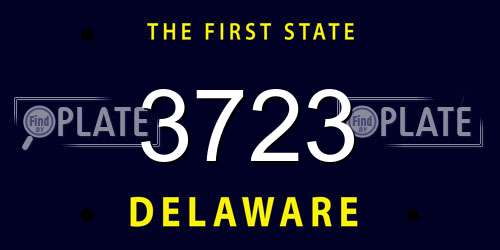 3723 Delaware License Plate