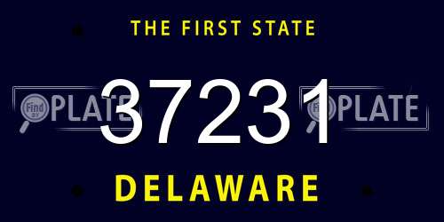 37231 Delaware License Plate