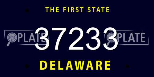 37233 Delaware License Plate