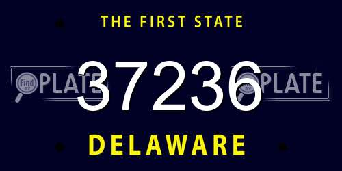 37236 Delaware License Plate