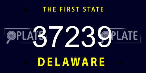 37239 Delaware License Plate