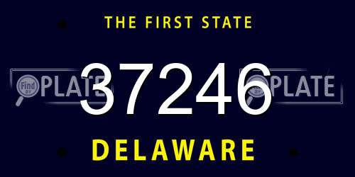 37246 Delaware License Plate
