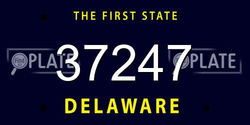37247 Delaware License Plate