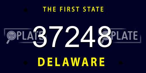 37248 Delaware License Plate