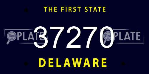 37270 Delaware License Plate