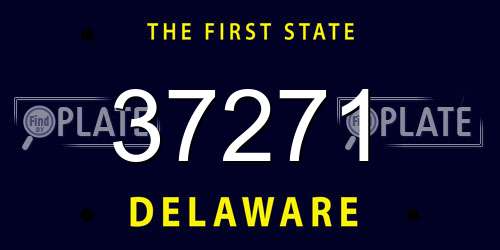 37271 Delaware License Plate