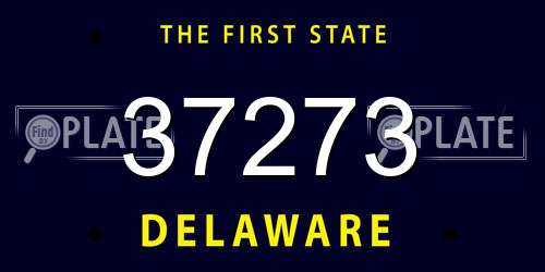 37273 Delaware License Plate
