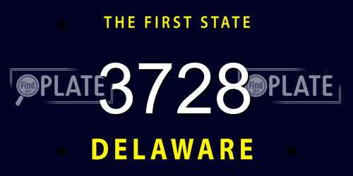 3728 Delaware License Plate