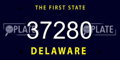 37280 Delaware License Plate