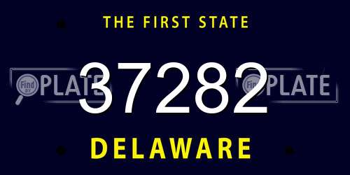 37282 Delaware License Plate