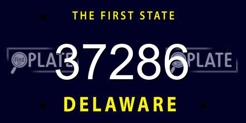 37286 Delaware License Plate