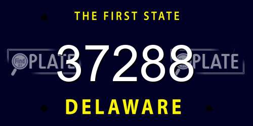 37288 Delaware License Plate