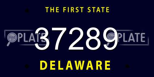 37289 Delaware License Plate