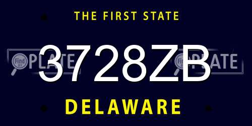 3728ZB Delaware License Plate