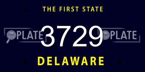 3729 Delaware License Plate